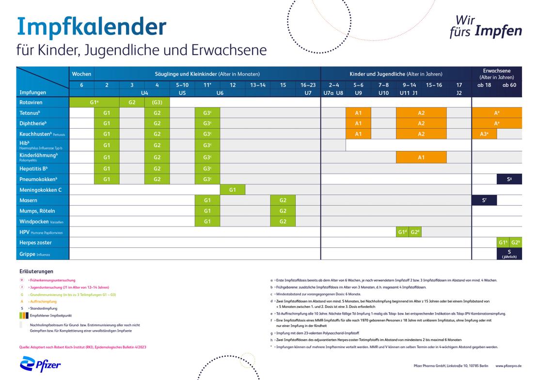 Impfkalender nach der STIKO: Wann steht welche Impfung an?