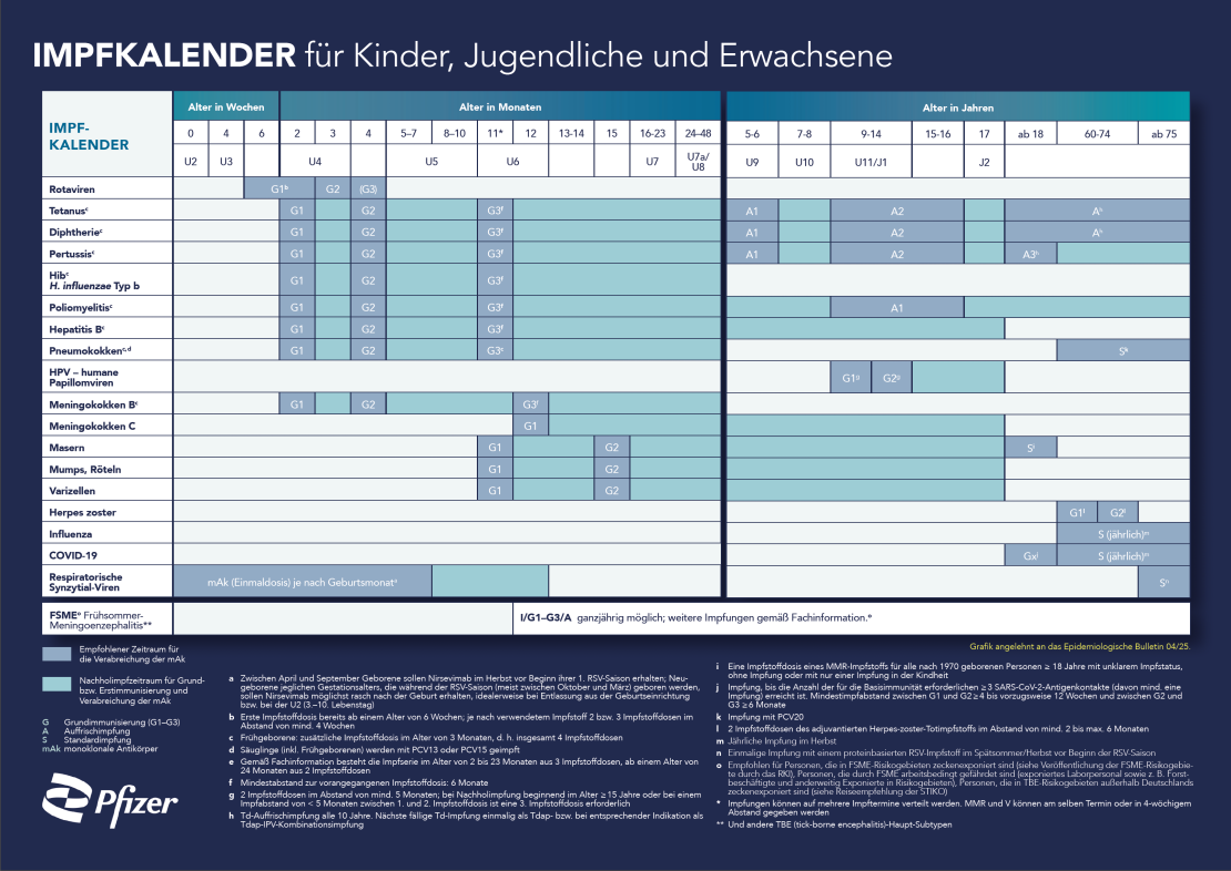 Impfkalender nach der STIKO: Wann steht welche Impfung an?