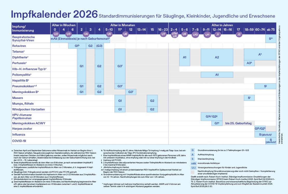 Impfkalender nach der STIKO: Wann steht welche Impfung an?