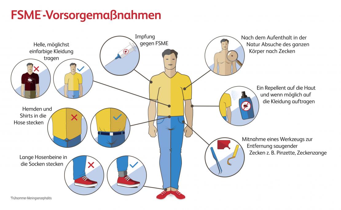 Vorsorgemaßnahmen gegen Zecken und FSME