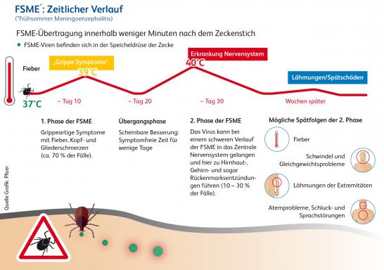 Infografik FSME Zeitlicher Verlauf